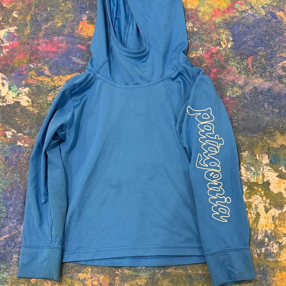 Patagonia 2T Sky Blue Hoodie